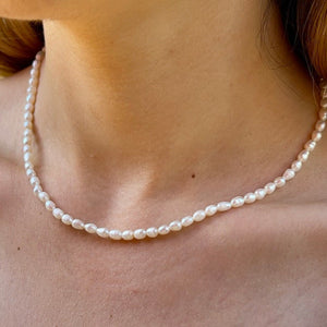 Freshwater Pearl Necklace